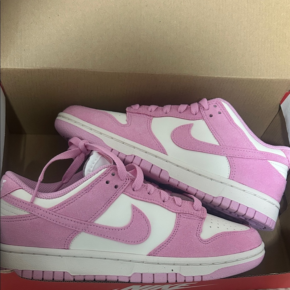 Nike Women's dunks